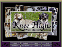 Tablet Screenshot of kneehighminiaussies.com